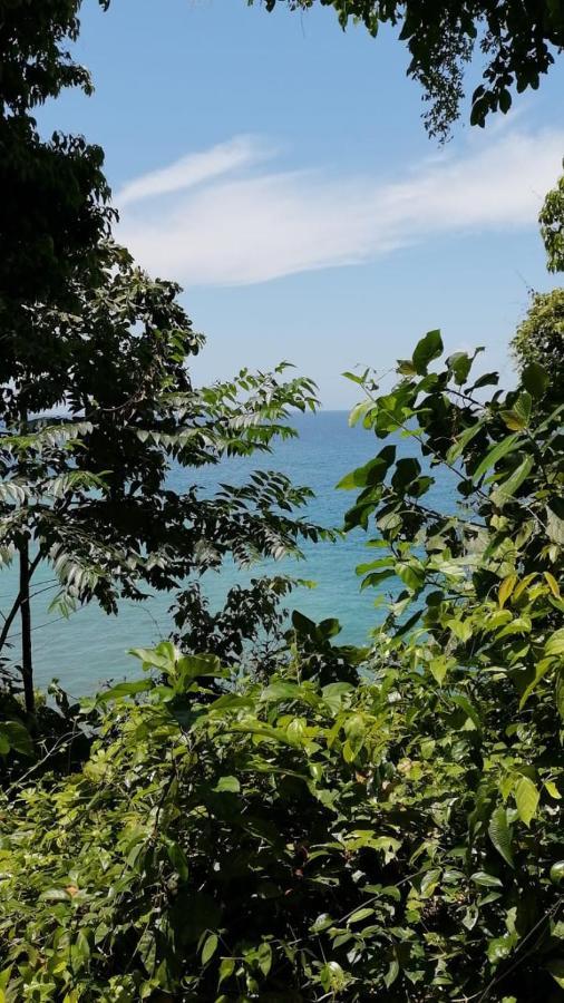 Reserva Natural Selva Mojada Нуки Экстерьер фото
